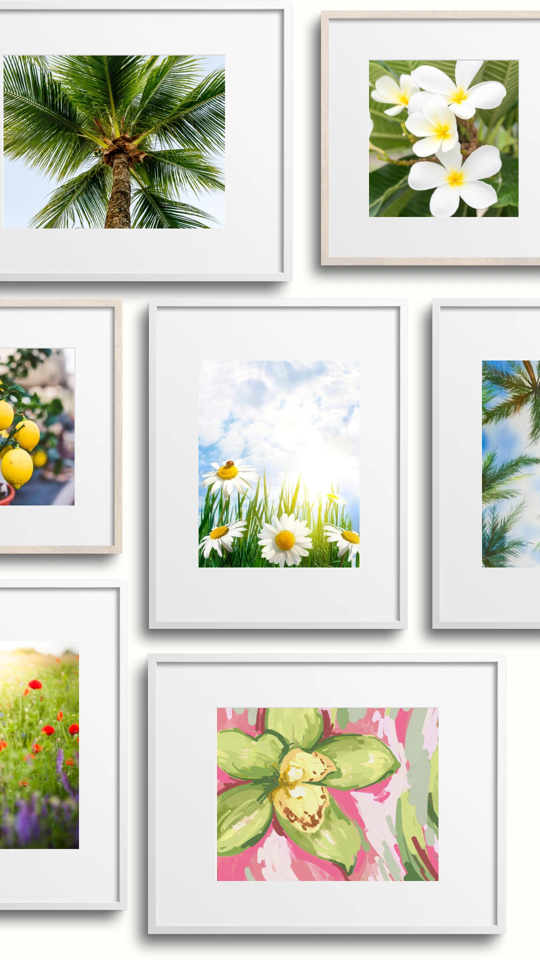 Botanical Gallery A4 Wall Art Bundle
